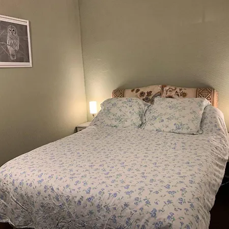 Duplex 8 Pers Hyper-centre Avec Wifi & Parking Securise - Fr-1-812-68 Lejlighed Cauterets