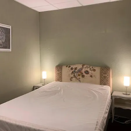 Duplex 8 Pers Hyper-centre Avec Wifi & Parking Securise - Fr-1-812-68 Cauterets