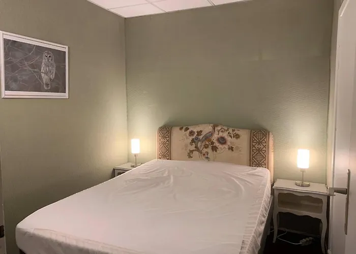 Duplex 8 Pers Hyper-centre Avec Wifi & Parking Securise - Fr-1-812-68 Котре